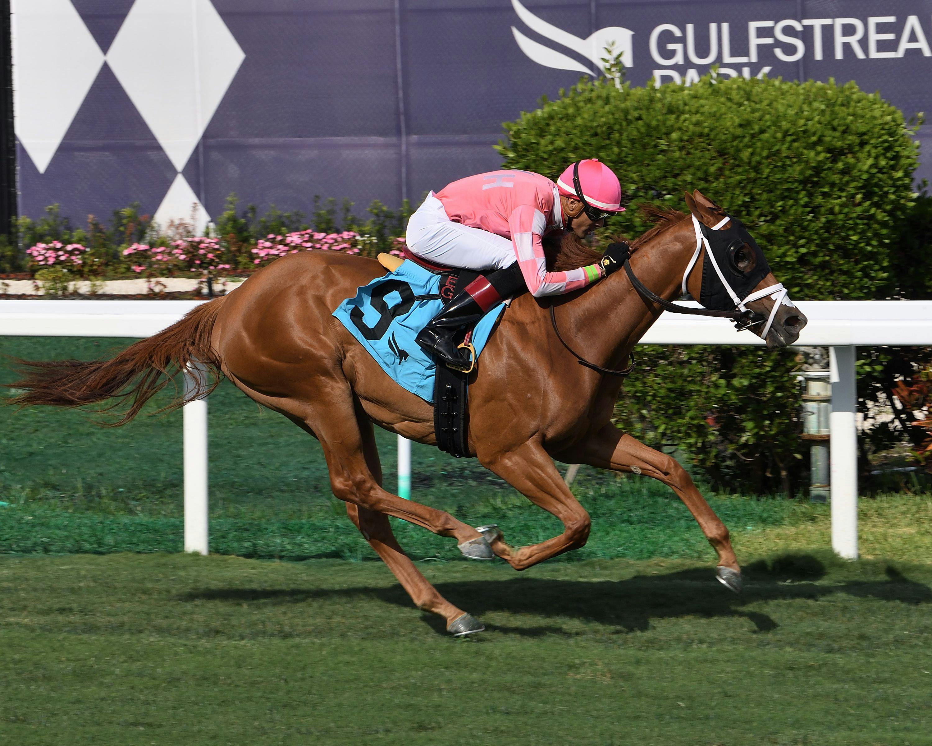 Crimson Advocate wins 2023 Royal Palm Juvenile Fillies