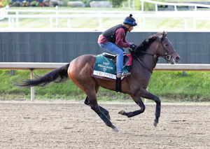 Crupper trains at Laurel Park ahead of the Preakness Stakes (Photo by Equi-Photo/Bill Denver)