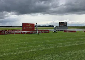 Scenic view of the Curragh on the ancient plains of Kildare