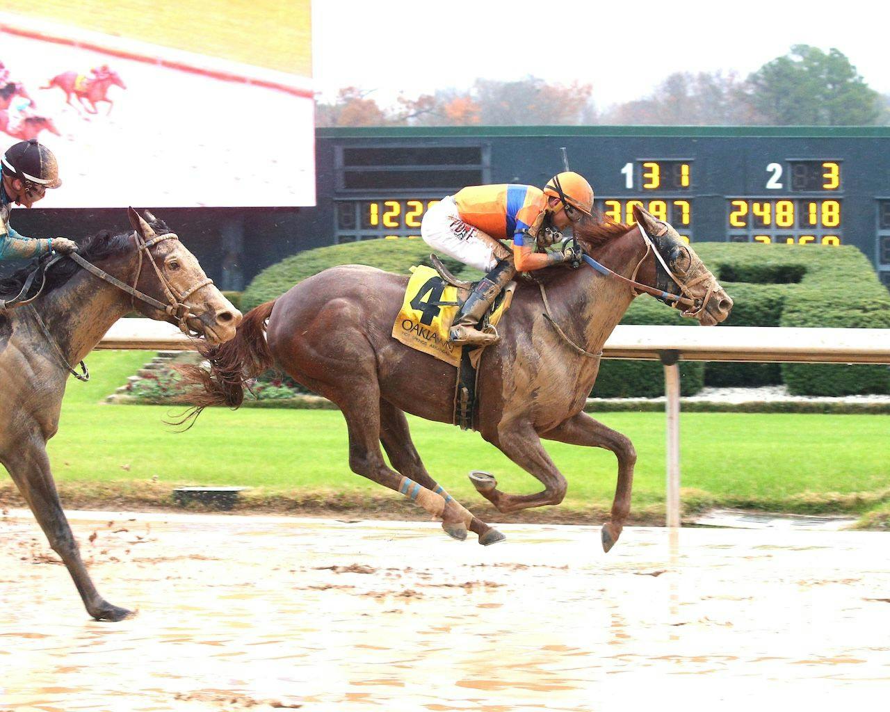 Curvino wins at Oaklwan Park.