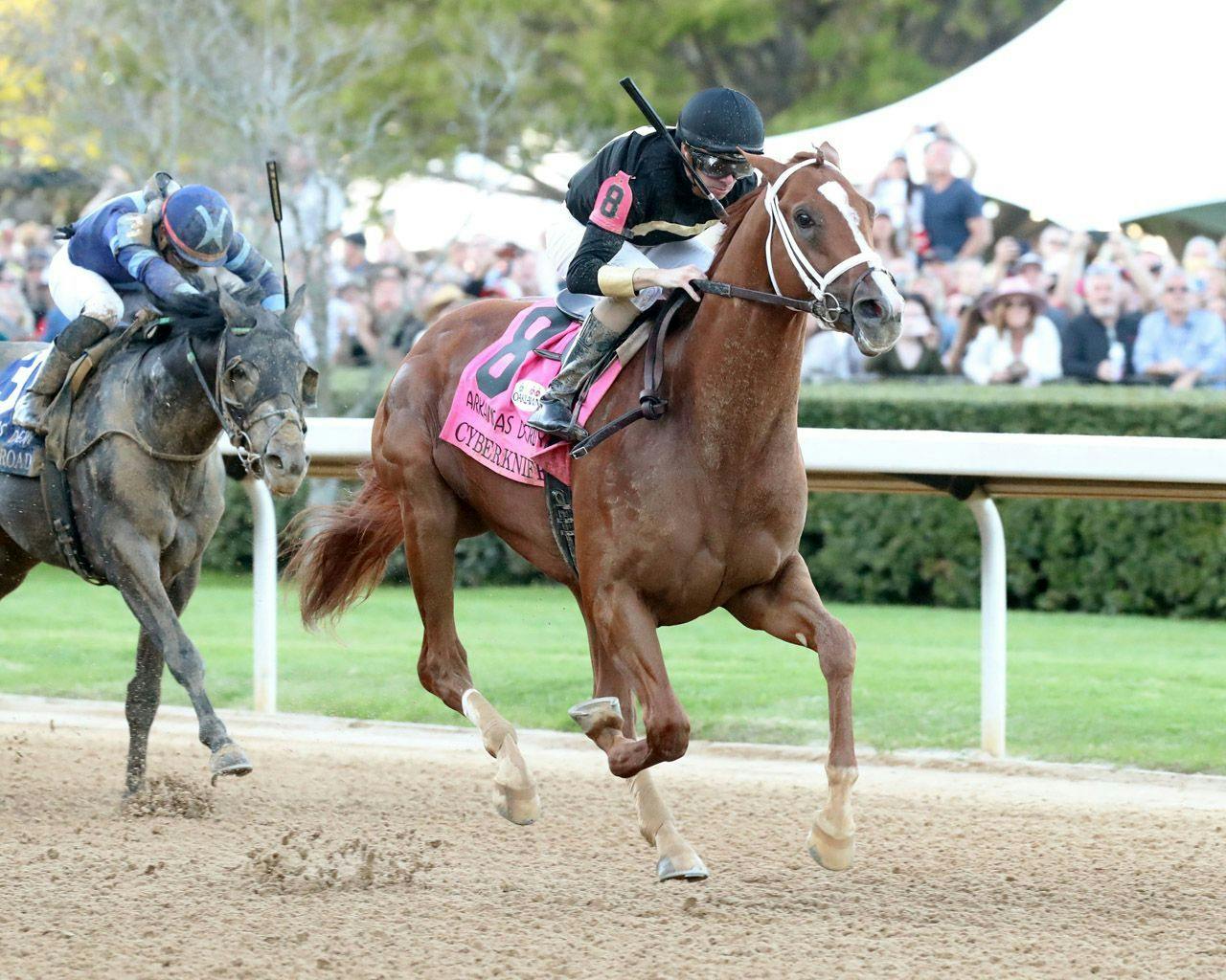 Meet the Contenders 2023 Pegasus World Cup TwinSpires