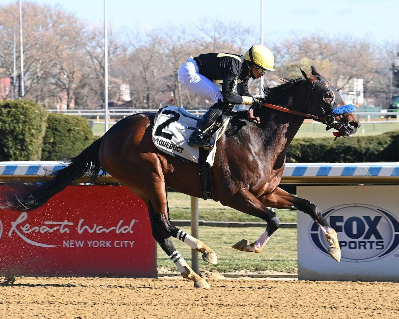 Cyclone State wins at Aqueduct.