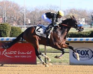 Cyclone State wins at Aqueduct.