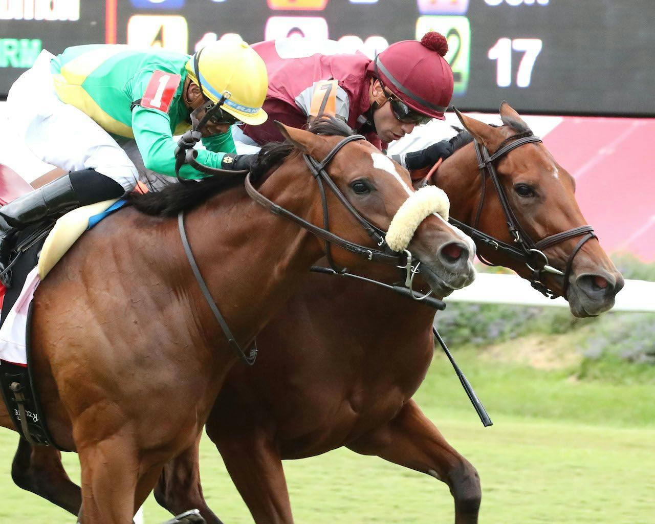 Deep Satin and Style Points end in a dead heat during the Virginia Oaks at Colonial Downs