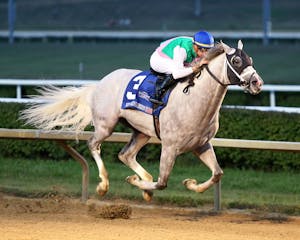 Dragoon Guard wins the West Virginia Derby