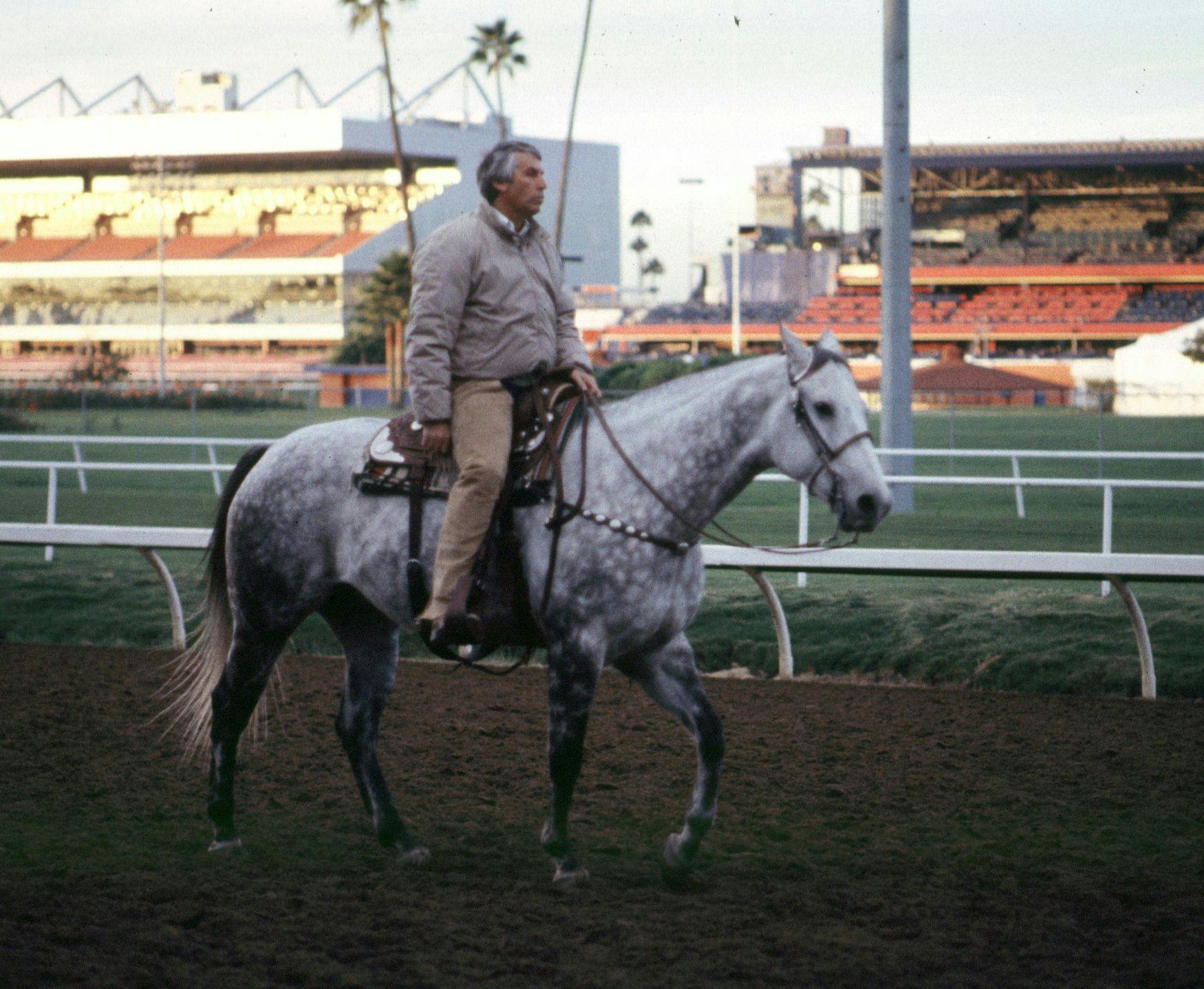 Hall of Fame trainer D. Wayne Lukas (Horsephotos.com)
