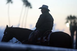 Hall of Fame trainer D. Wayne Lukas (Horsephotos.com)