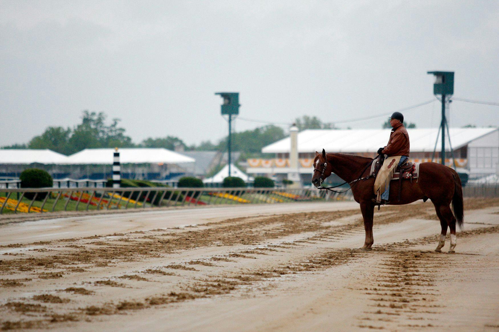 Hall of Fame trainer D. Wayne Lukas (Horsephotos.com)