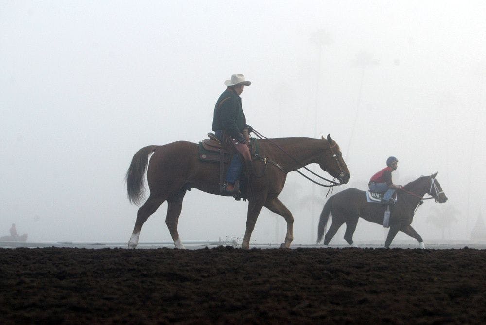 Hall of Fame trainer D. Wayne Lukas (Horsephotos.com)