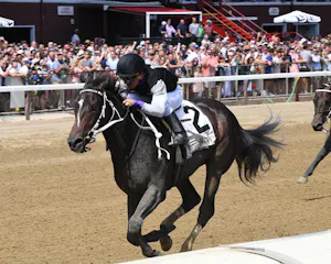 Damon's Mound wins the Saratoga Special