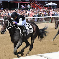 Damon's Mound wins the Saratoga Special