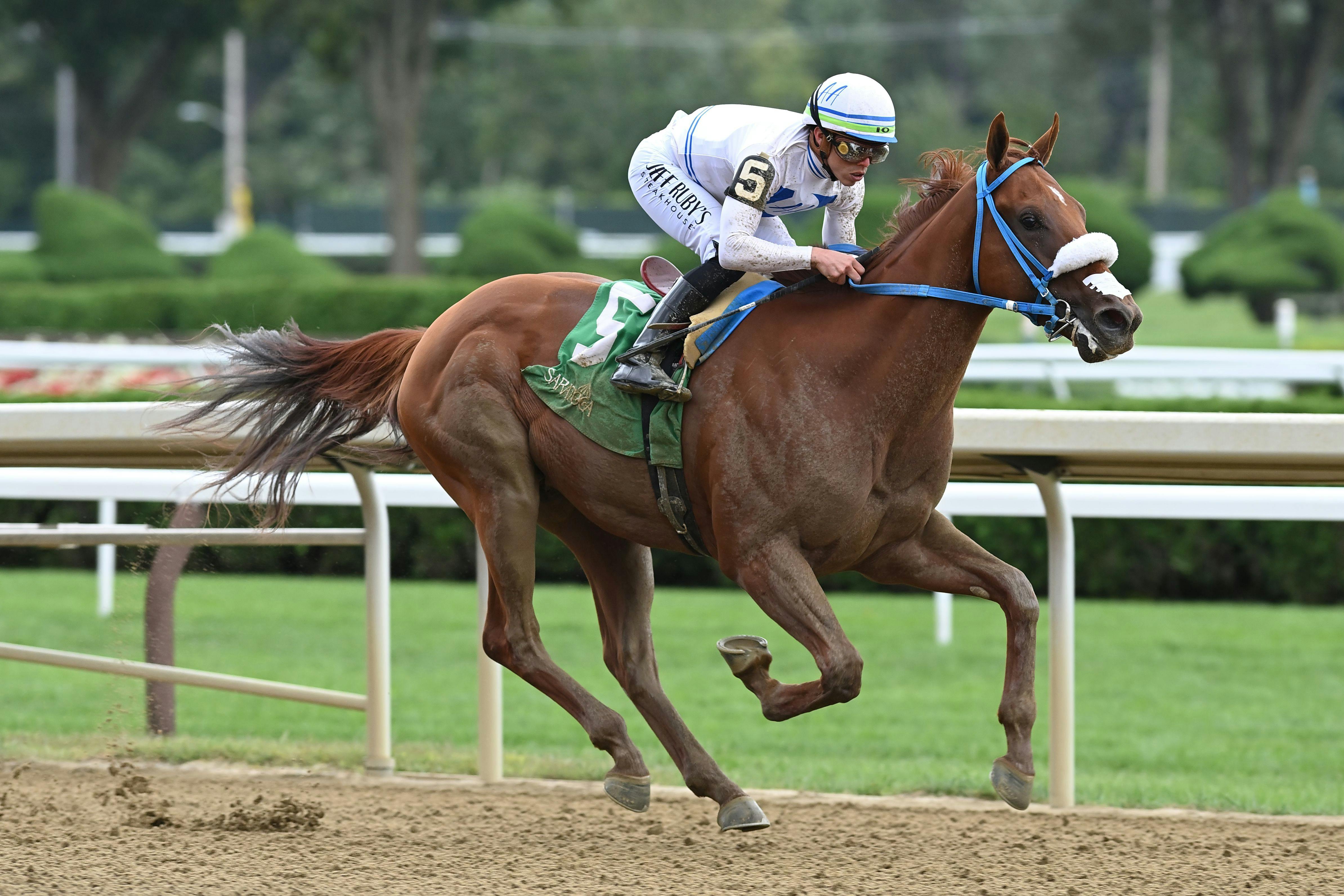 Meet the Contenders 2024 Fountain of Youth S. TwinSpires