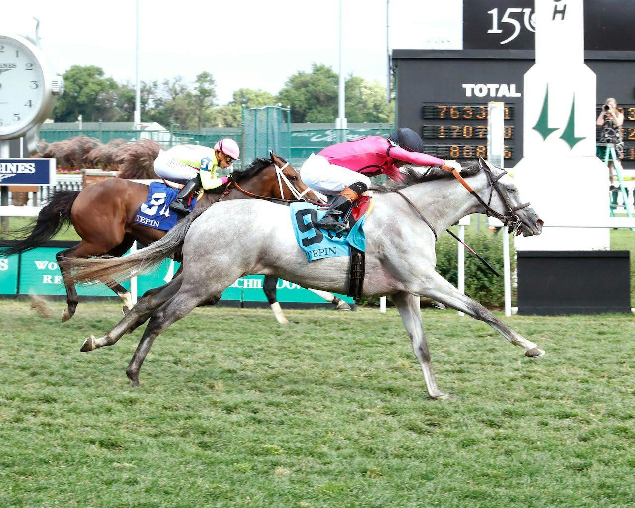 Exotics Plays for the Valley View Stakes TwinSpires