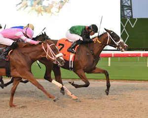 Dondona wins at Gulfstream Park. 