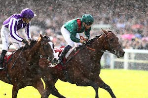 Daryz collars Minnie Hauk in the Prix de l'Arc de Triomphe (G1)