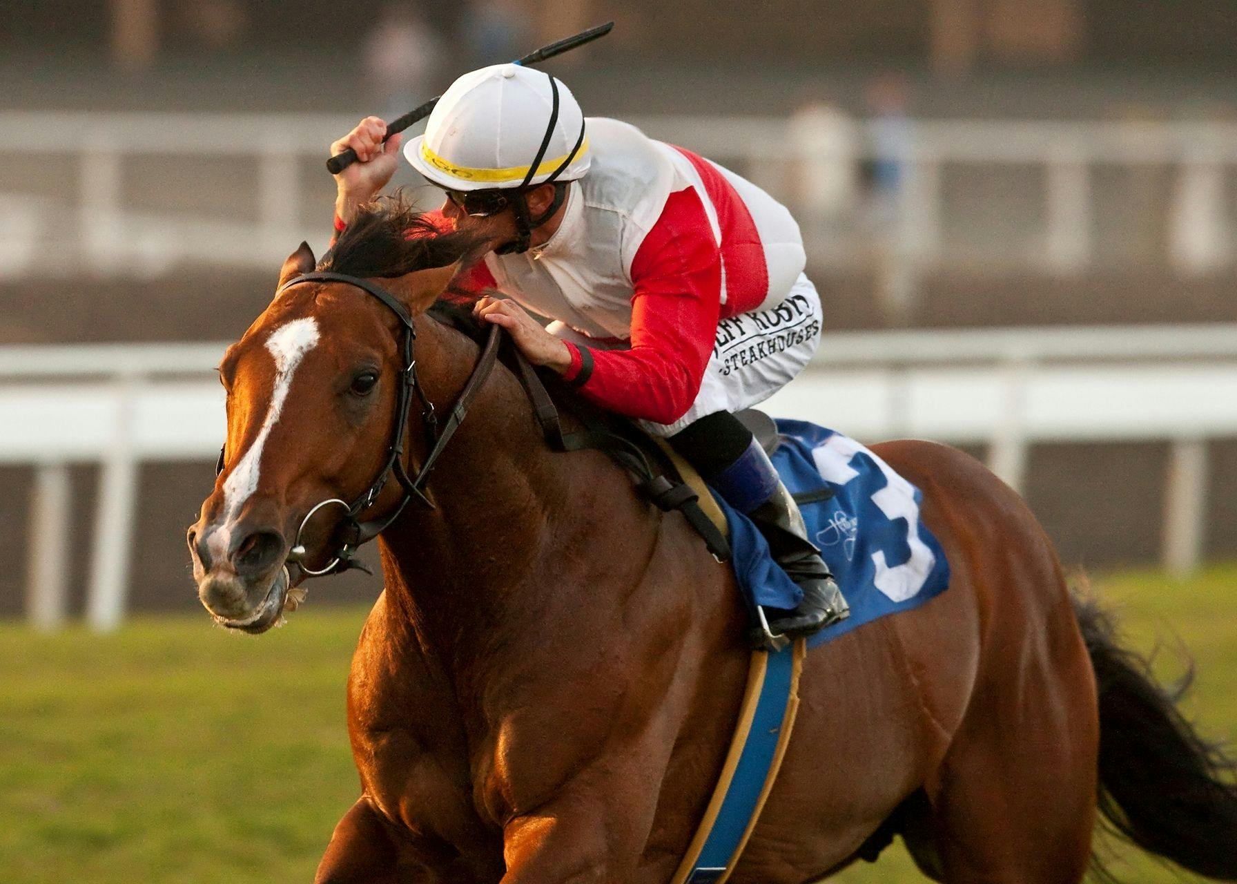 Data Link wins the 2012 Citation Handicap at Hollywood Park