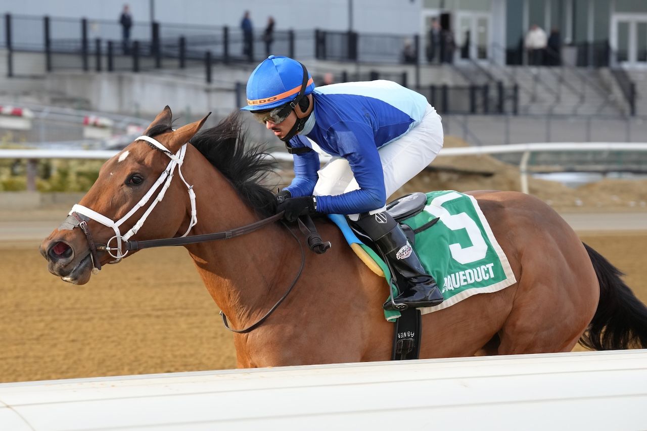 Dazzling Dame wins the Busanda Stakes at Aqueduct. 