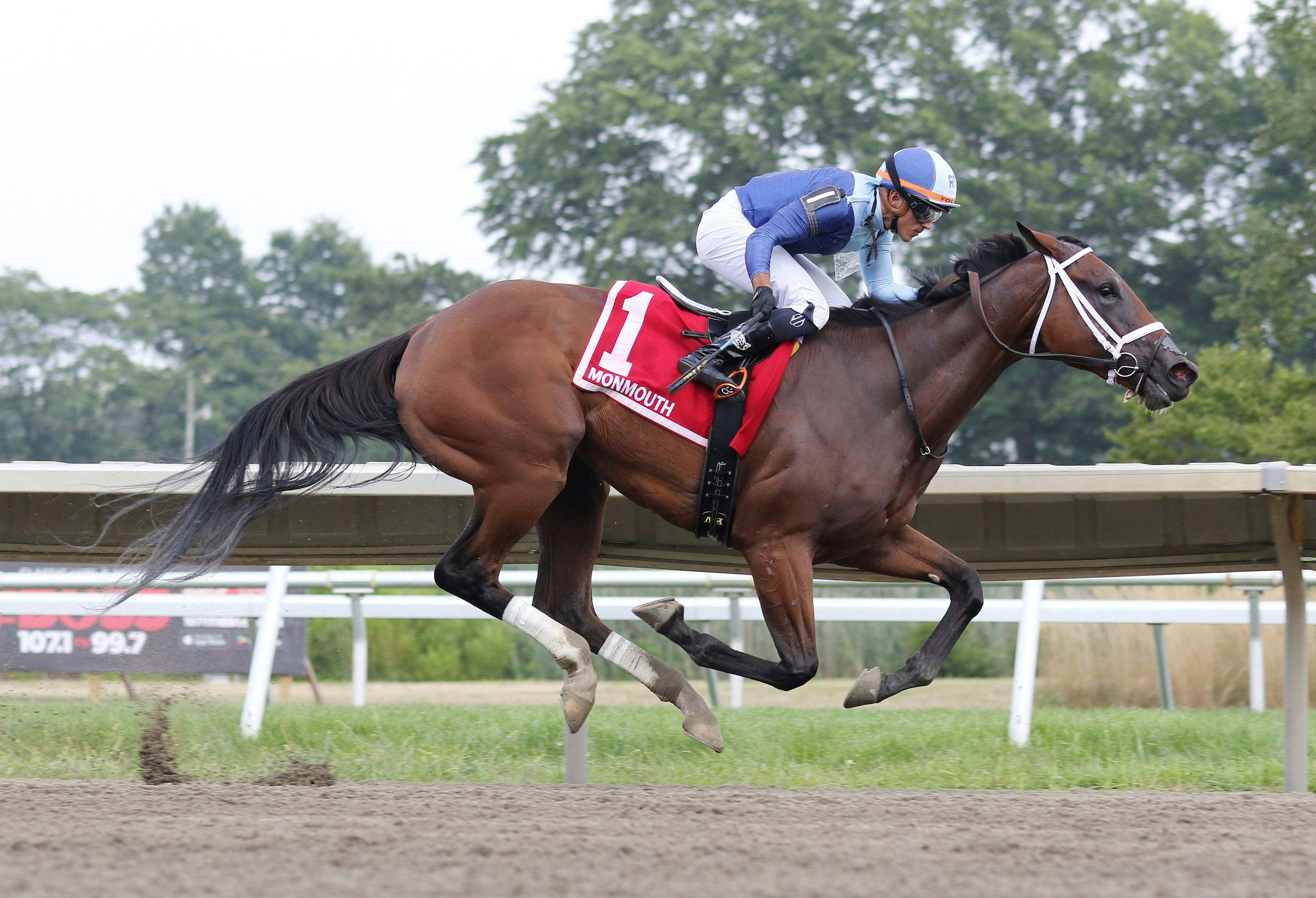 Dazling Dame wins the Soroity at Monmouth Park. 