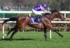 Delacroix shown winning the Ballysax (G3) at Leopardstown