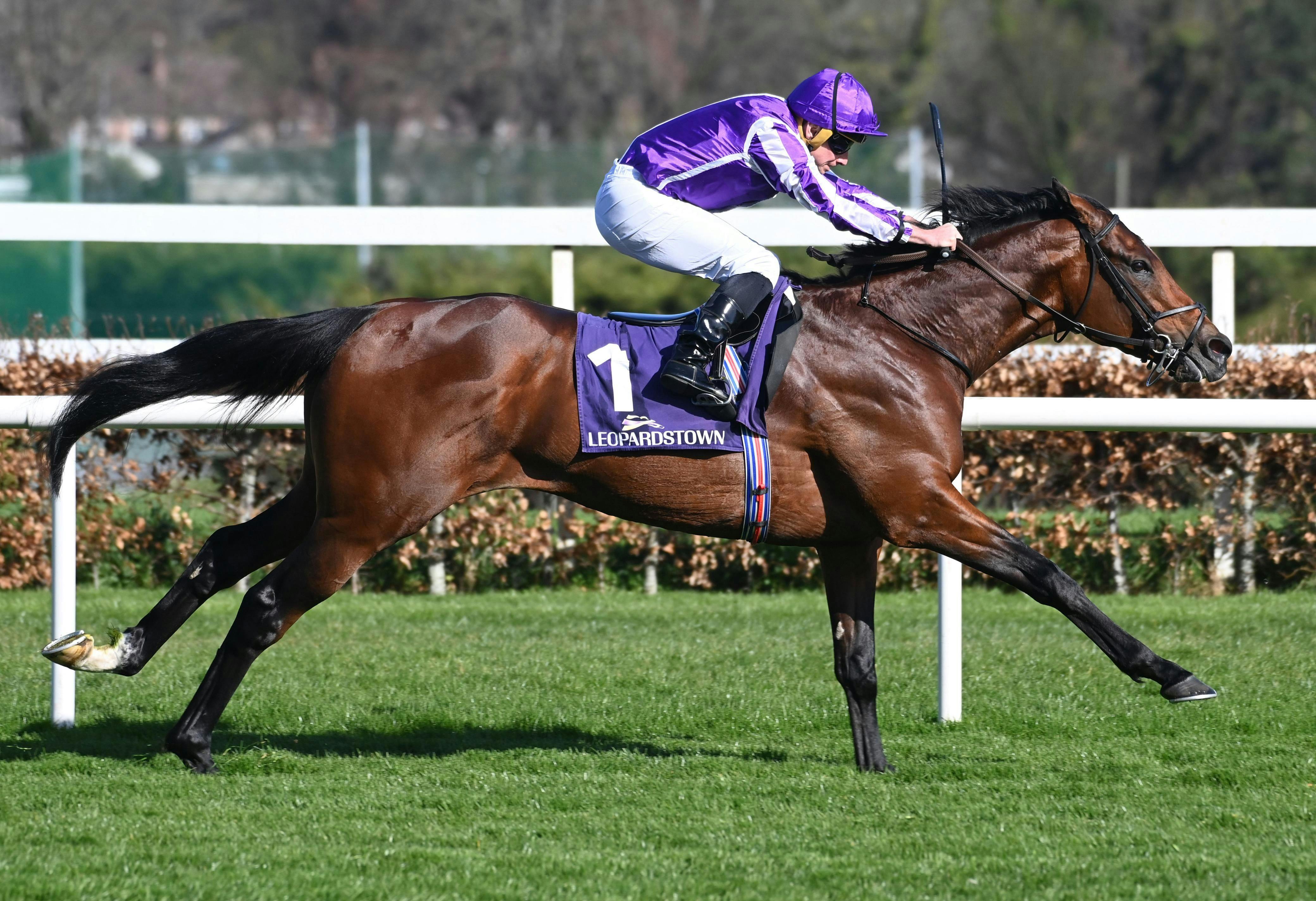 Delacroix shown winning the Ballysax (G3) at Leopardstown