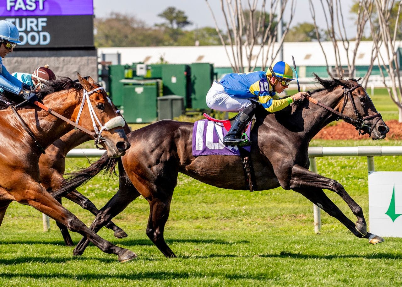 Value Plays for the 2024 Mint Julep Stakes TwinSpires