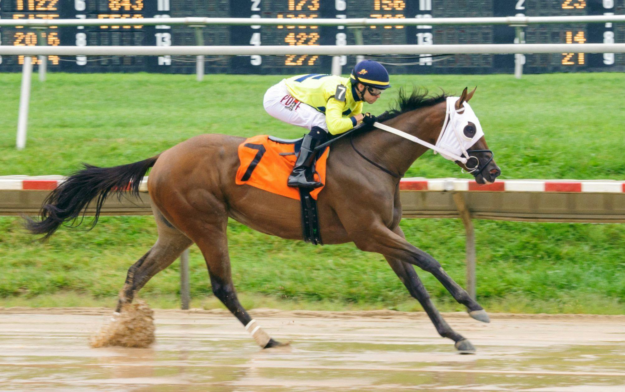keeler-johnson-s-picks-and-plays-of-sept-27-2023-twinspires