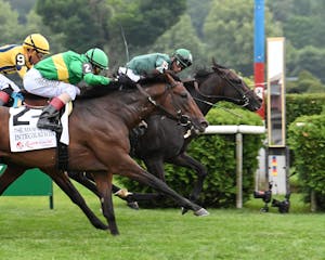 Deterministic just holds on from Integration in the Manhattan