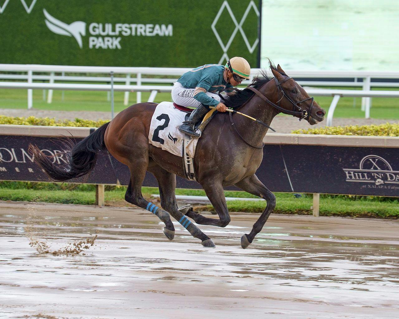Diciassette wins the Proud Man at Gulfstream park. 