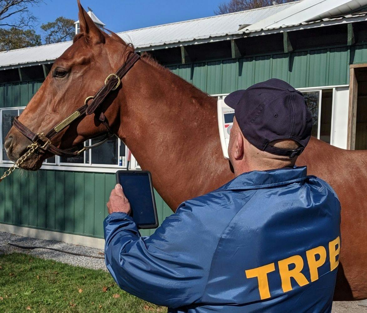 Digital Horse Tattoo Microchip (Courtesy of TRPB)