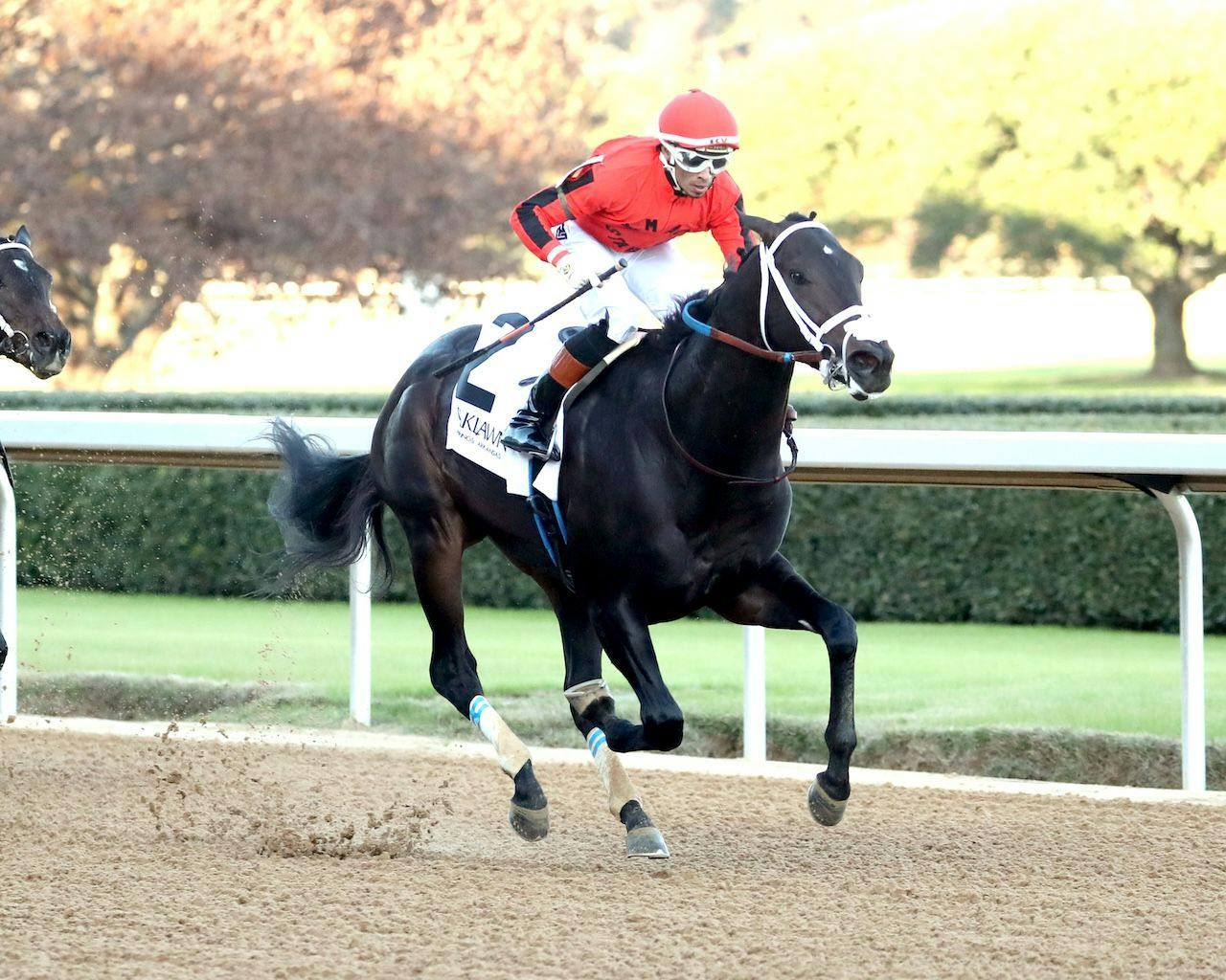 Dirty Rich wins the Adent Stakes at Oaklawn Park. 