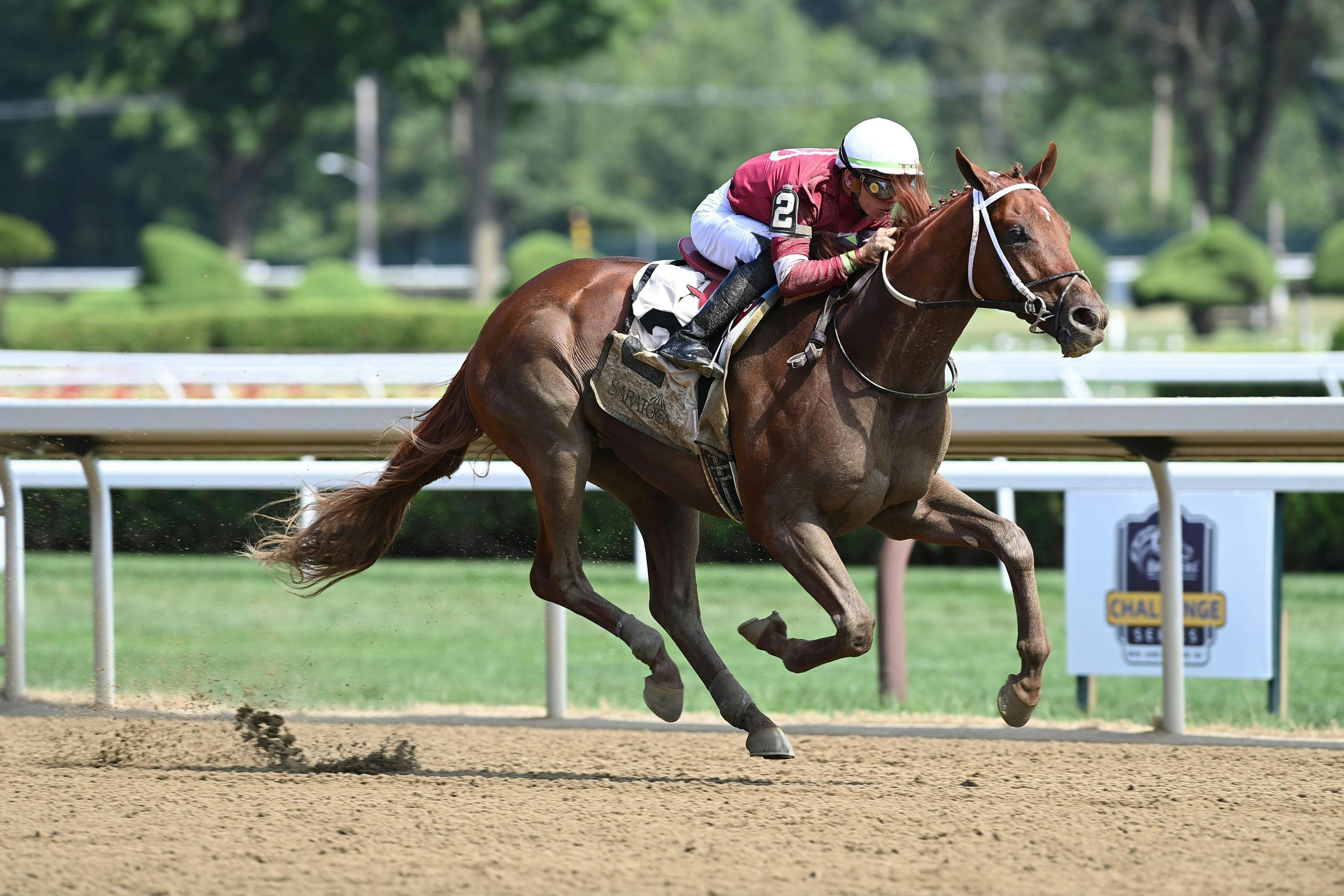 Kentucky Derby pedigree profile Disarm TwinSpires