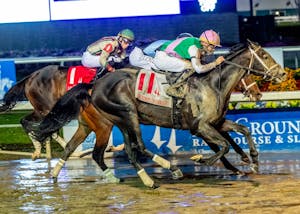 Disco Time winning the Lecomte S. (G3) at Fair Grounds. (Photo by Hodges Photography)