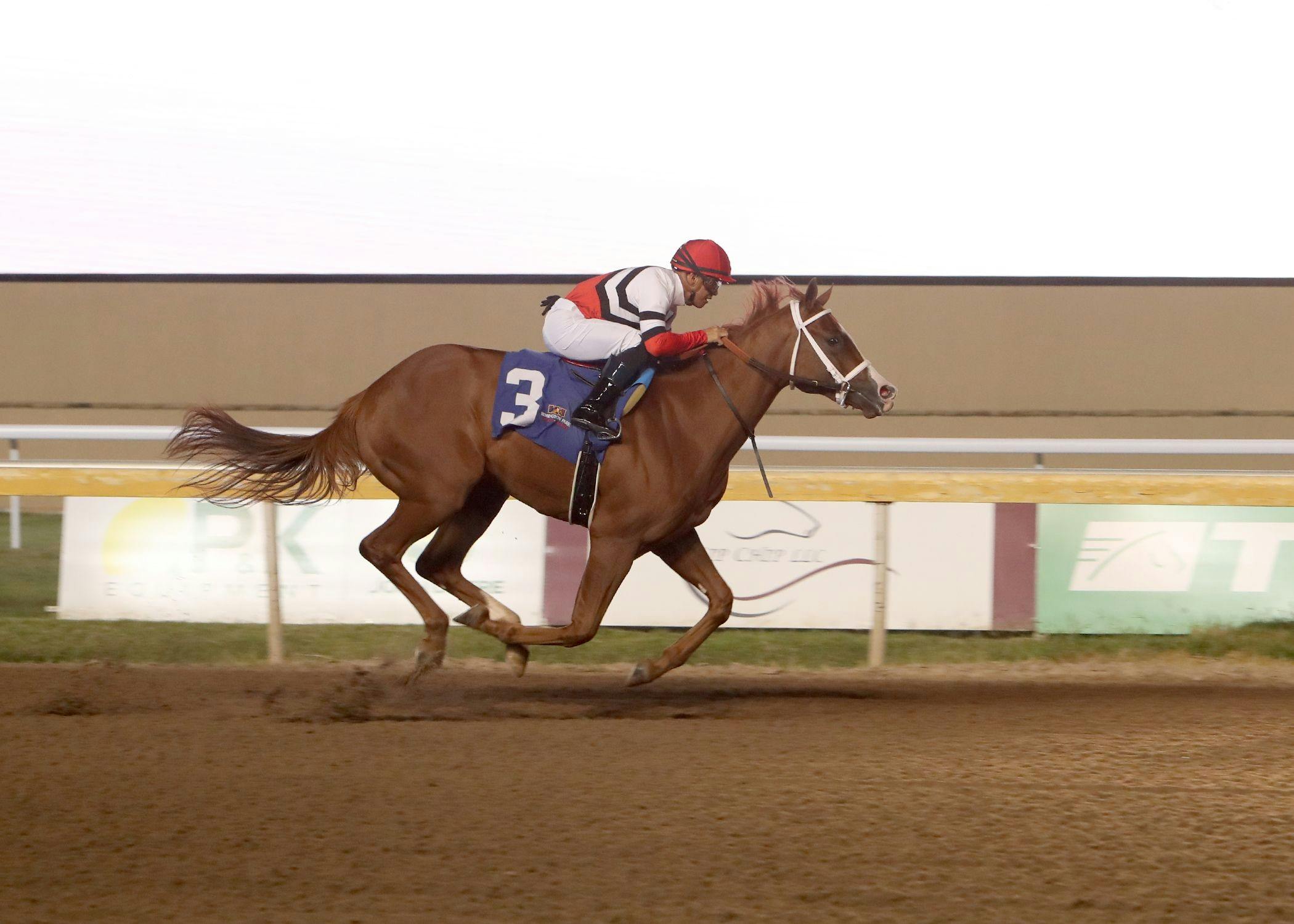 Dominant Spirit (Photo by Dustin Orona/Remington Park)