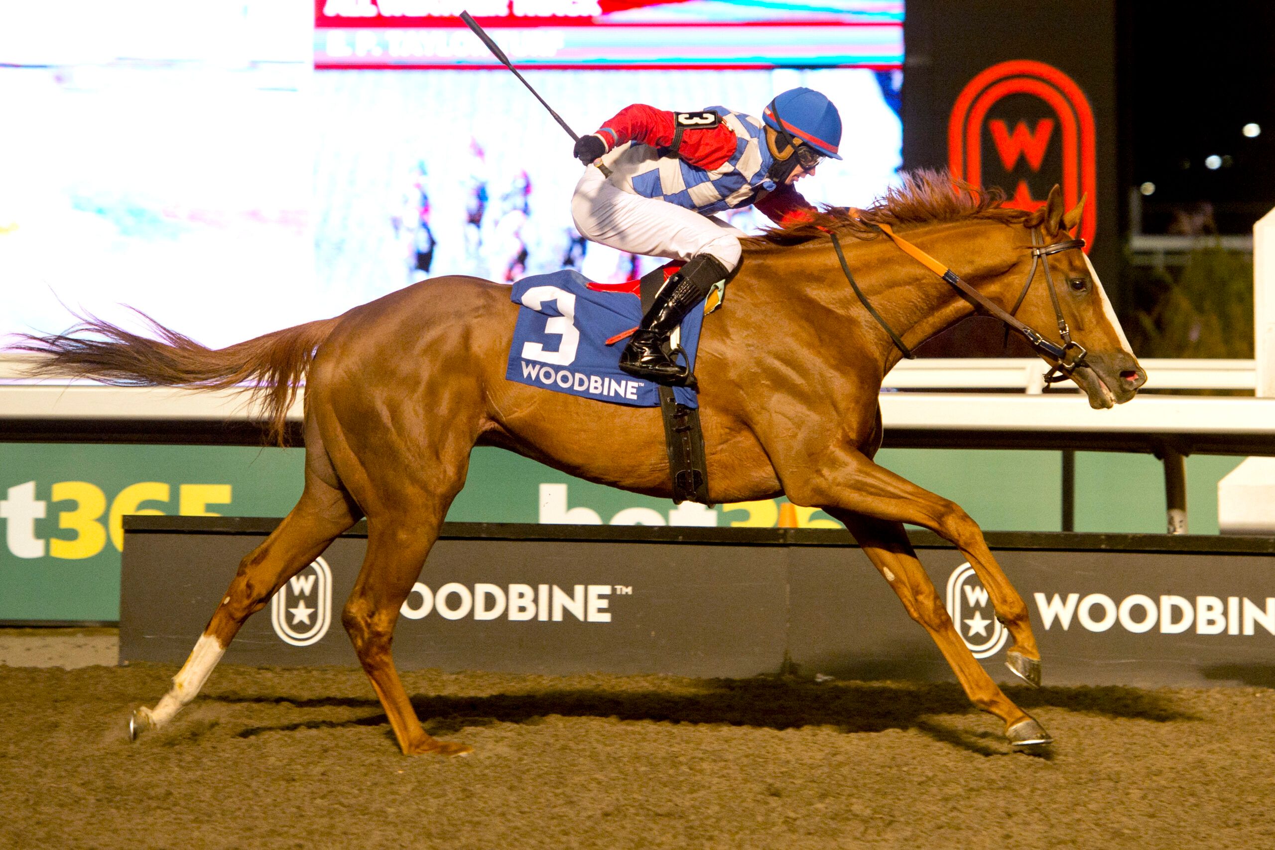 Dresden Row wins the HPibet Autumn Stake at Woodbine. 