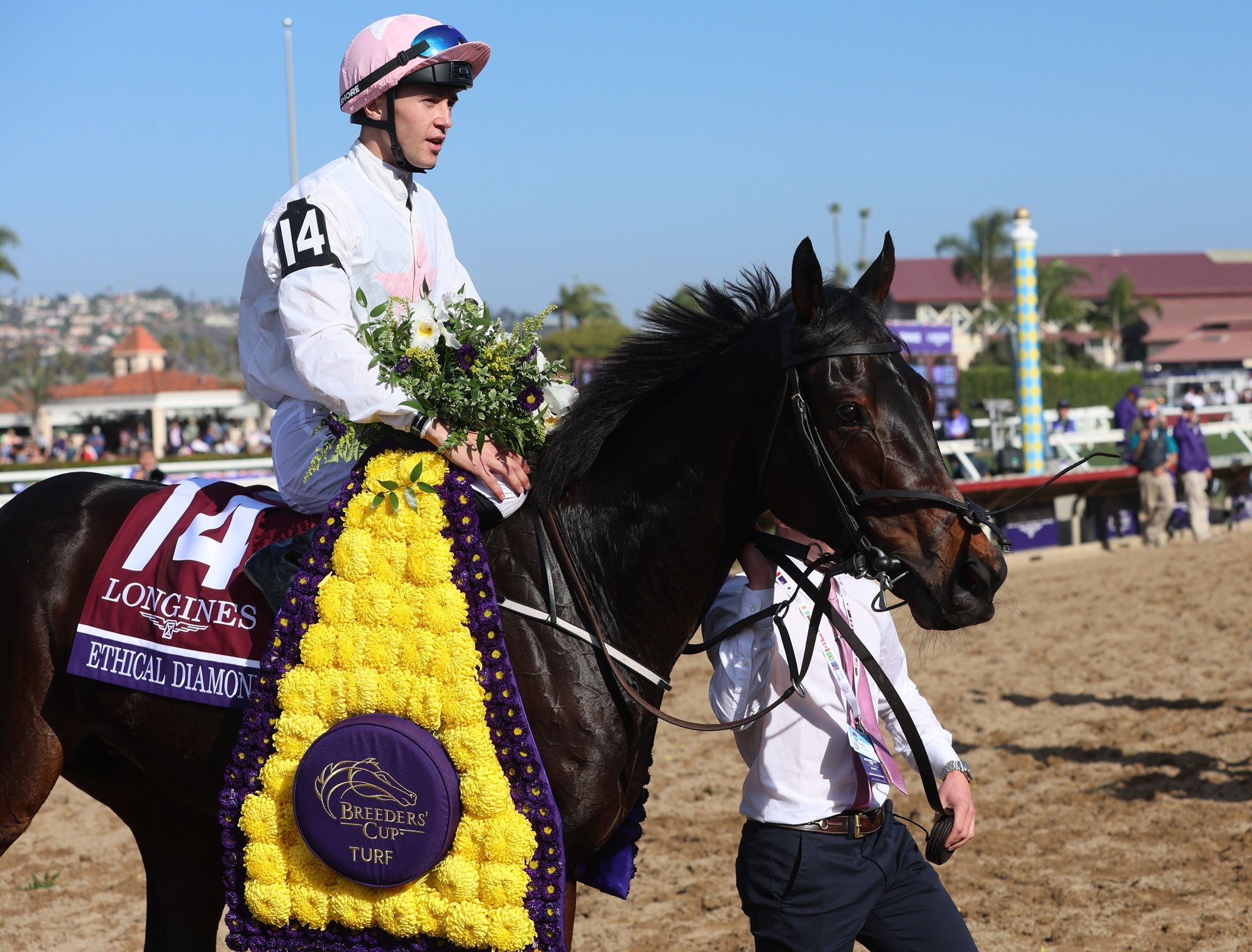 Ethical Diamond after winning the Breeders' Cup Turf (G1) at Del Mar