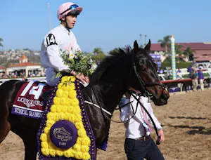 Ethical Diamond after winning the Breeders' Cup Turf (G1) at Del Mar