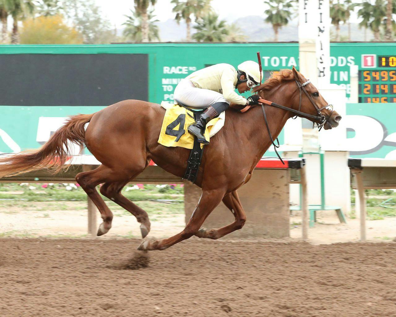 E J Won The Cup wins the Turf Paradise Derby