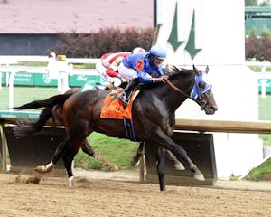 East Avenue wires the Matt Winn