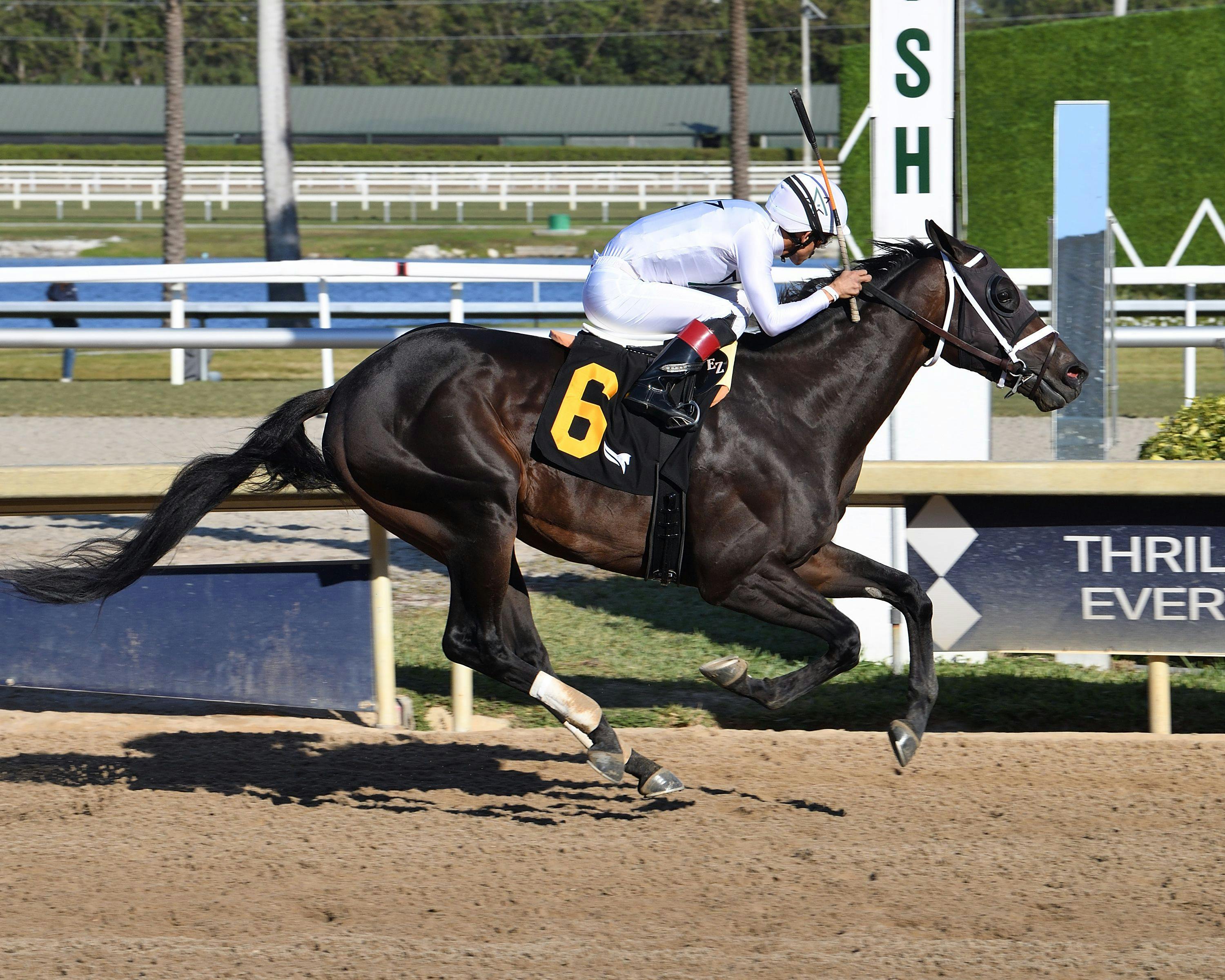 Easterly wins at Gulfstream Park.