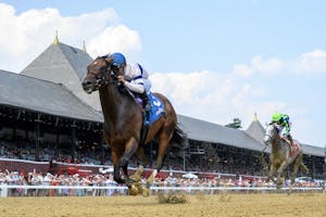 Echo Sound wins the 2025 Victory Ride S. at Saratoga (Photo by Coglianese Photos)