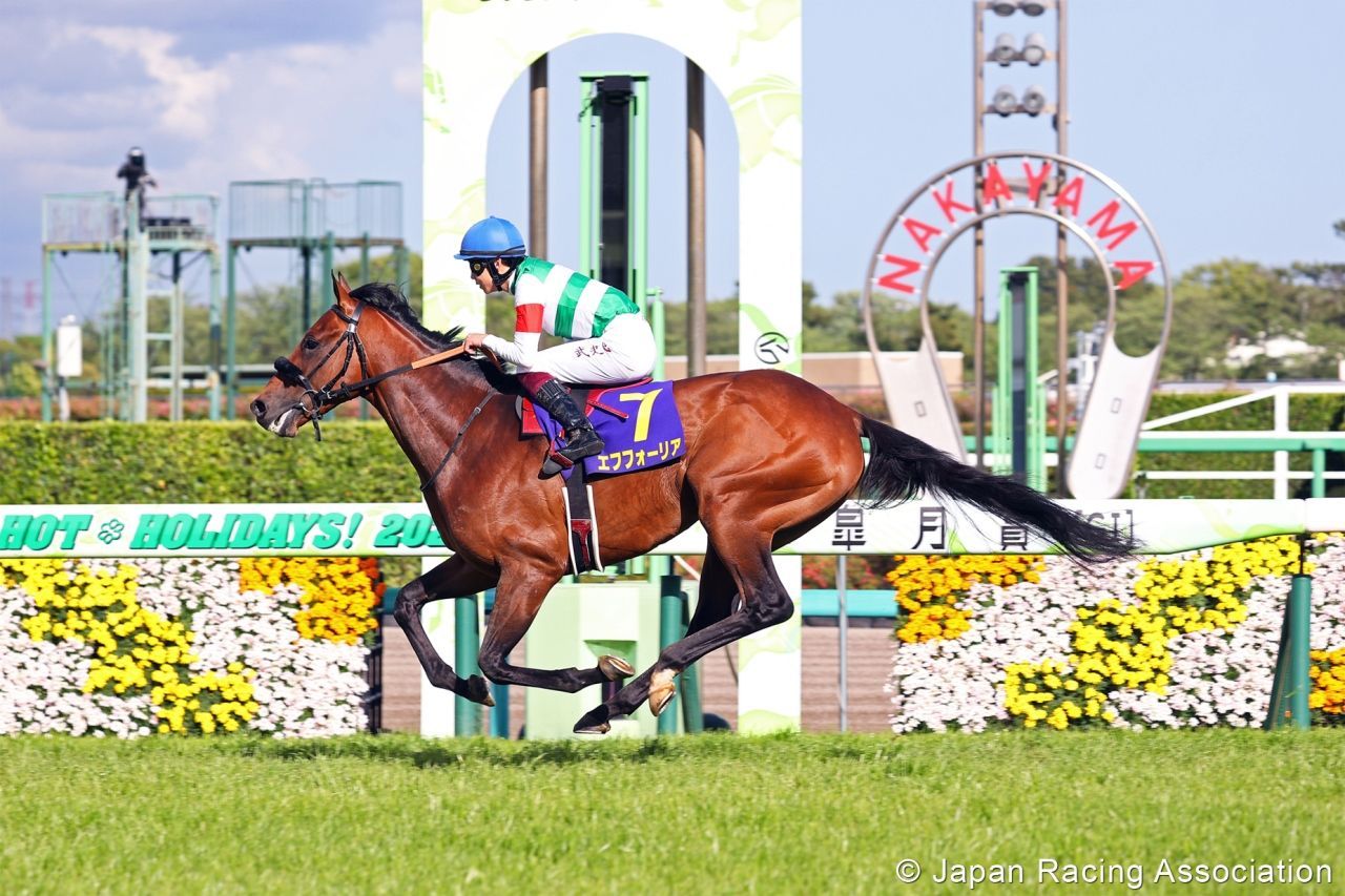 The best bet for the 2021 Japanese Derby | TwinSpires