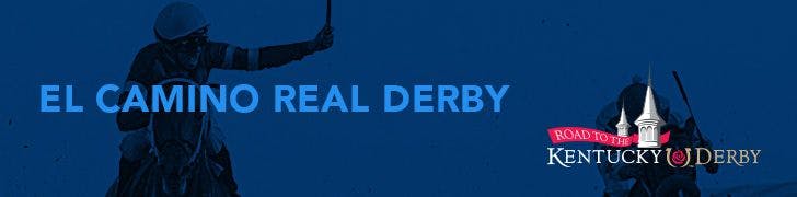 El Camino Real Derby banner