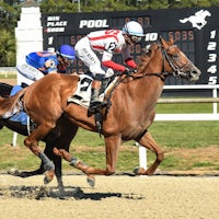 Emerging Market wins at Tampa Bay Downs.