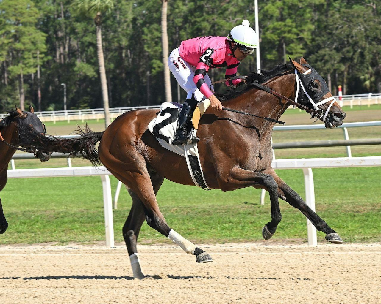 Epic Desire wins at Tampa Bay Downs. 