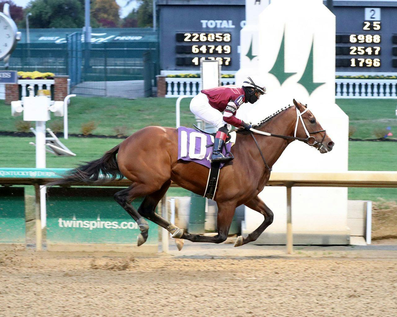 How beaten Kentucky Derby favorites have fared as Preakness TwinSpires