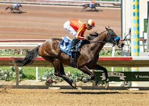 Explora exuded class in her Del Mar debut