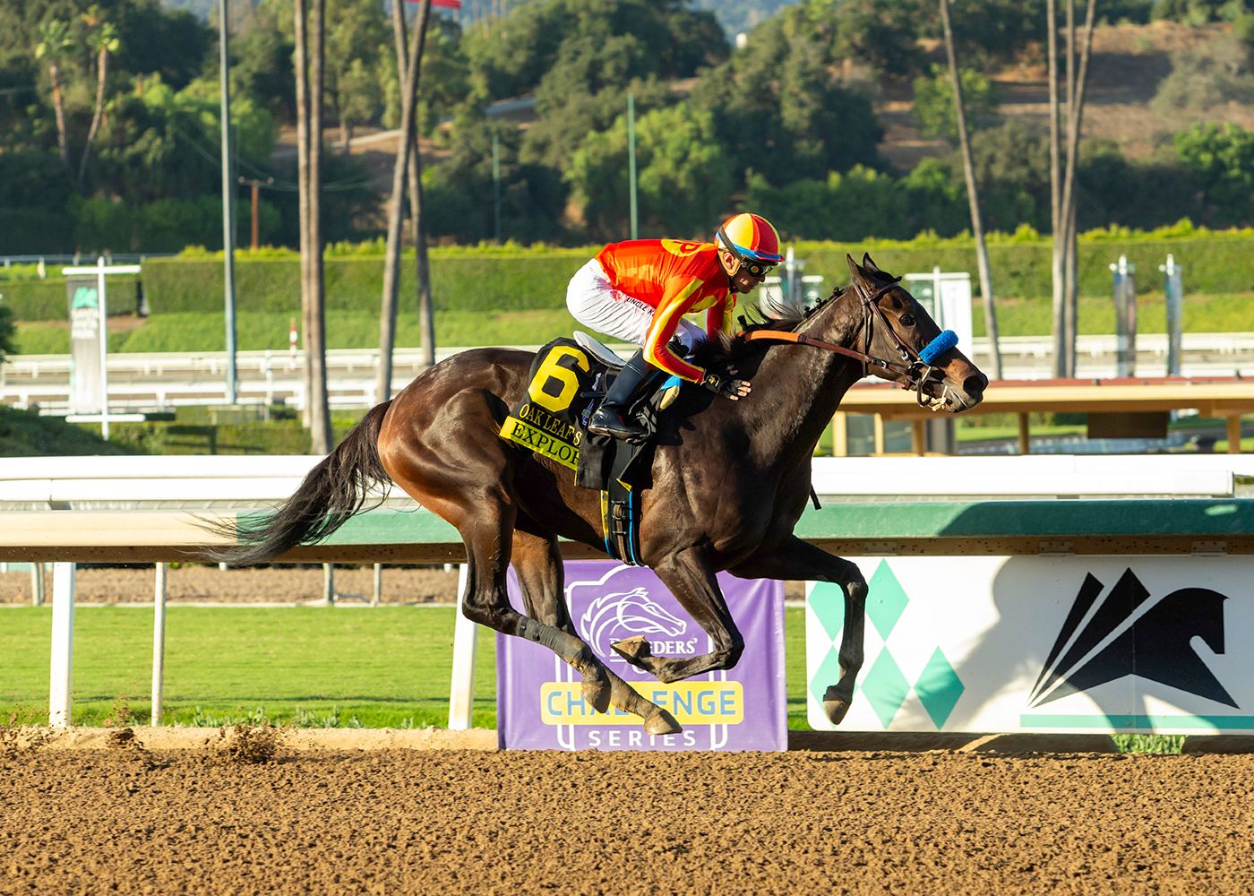 Explora winning the Oak Leaf (G2) at Santa Anita