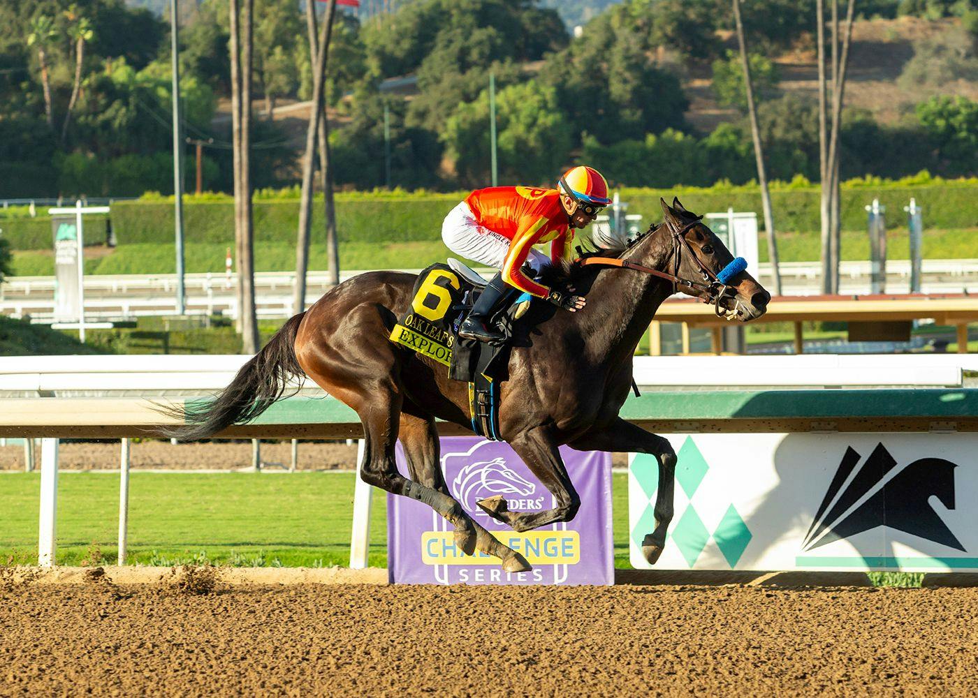 Explora winning the Oak Leaf (G2) at Santa Anita