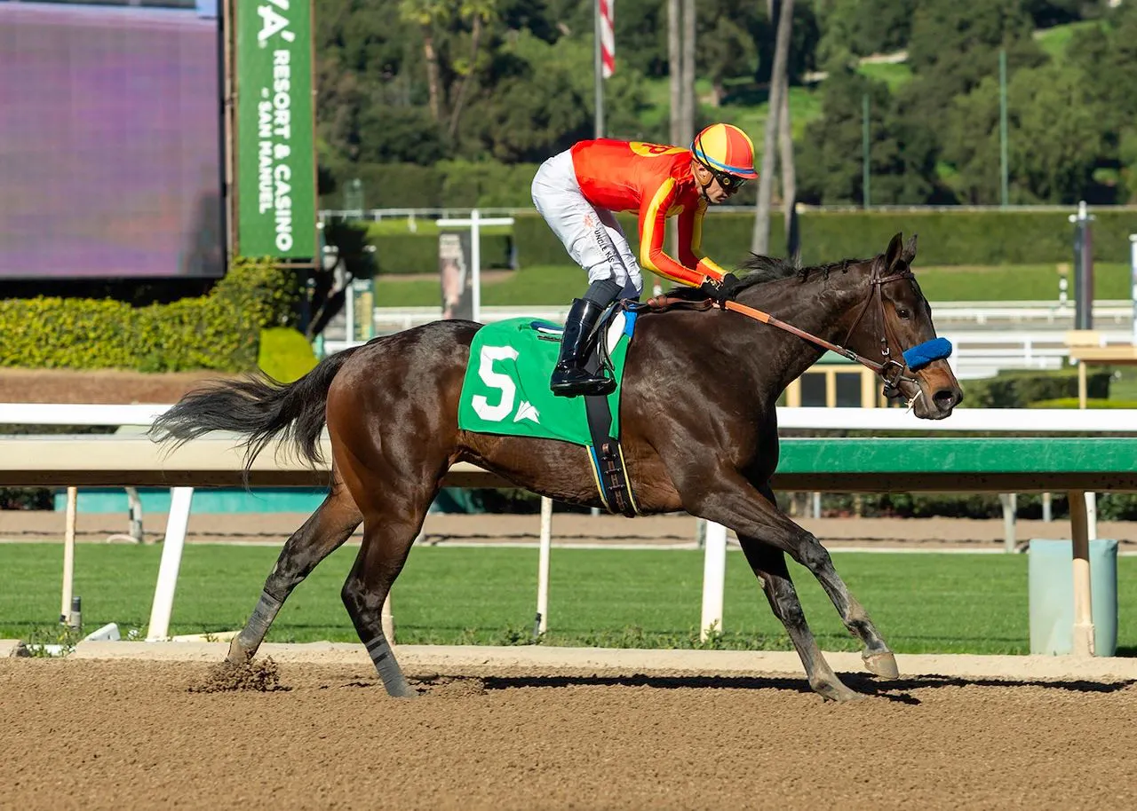 Expora wins the Santa Ynez at Santa Anita.