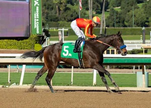 Expora wins the Santa Ynez at Santa Anita.